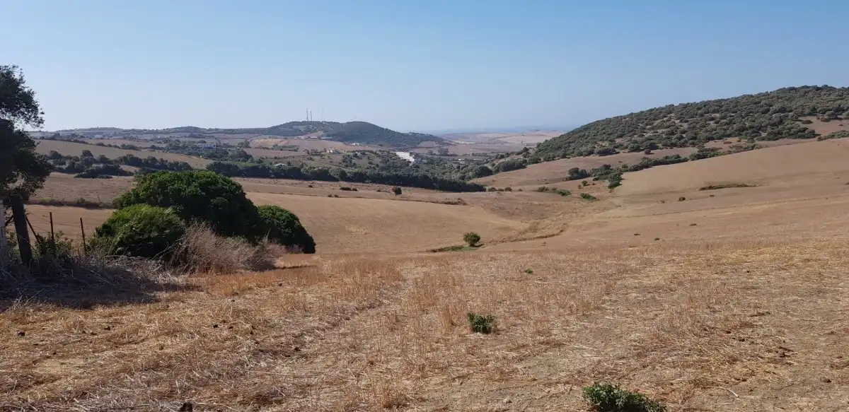 Terreny rústic en venda a Vejer, imagen 2