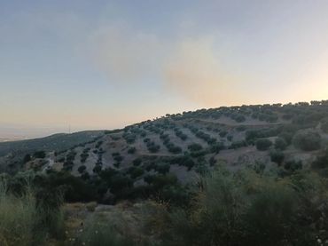 Terreno rustico in vendita a Alfacar