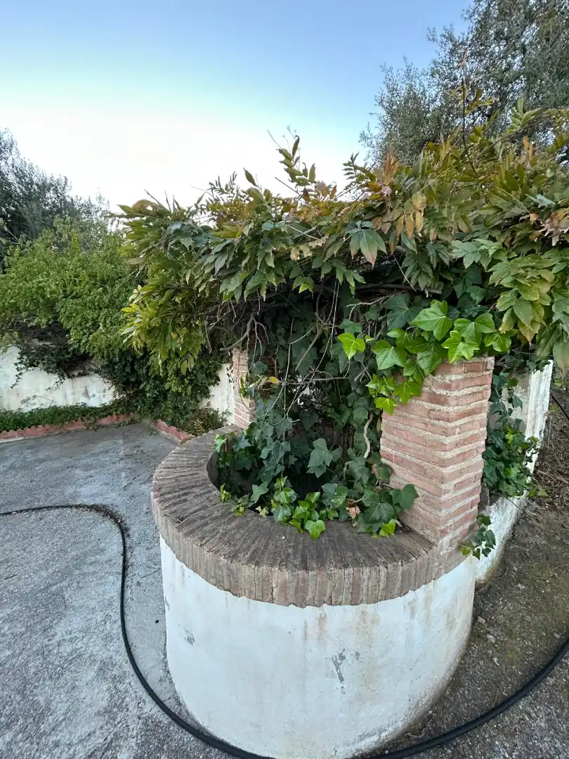 Jardí de Finca rústica en venda en Macharaviaya amb Terrassa, Traster i Piscina