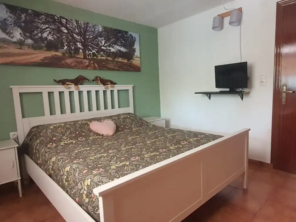 Villa con giardino in vendita a Carrer Nou 10, imagen 28