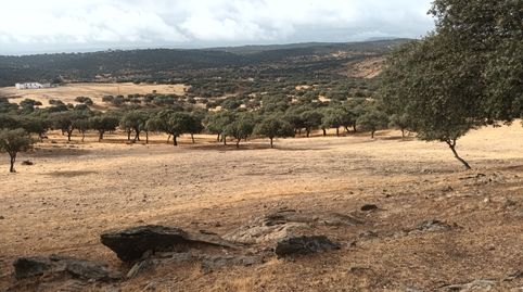 230 HAS. DEHESA-CAZA