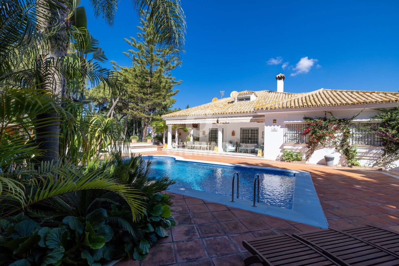 Jardí de Casa o xalet en venda en Jerez de la Frontera amb Jardí privat i Piscina