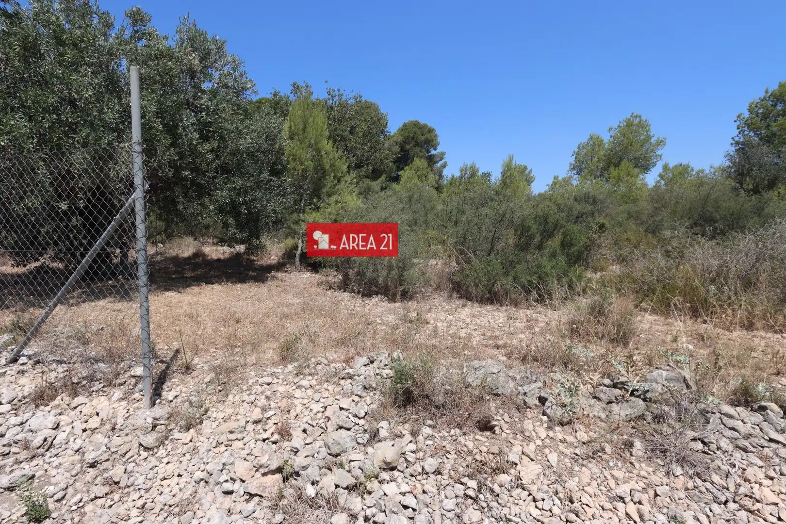 Terreno rústico en venta en Pla dels Aljubs, imagen 10