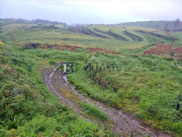 Terreno en Venta en Fuente del bardo en San Juan de la Rambla