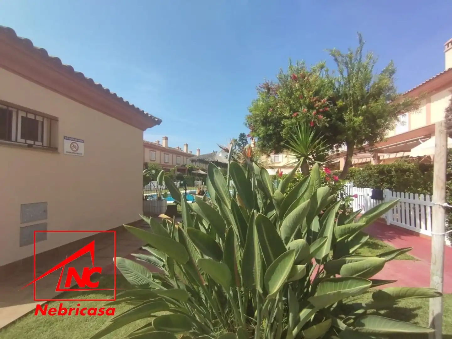 Garden of Detached homes for sale in Rota  with Terrace, Storage room and Swimming Pool