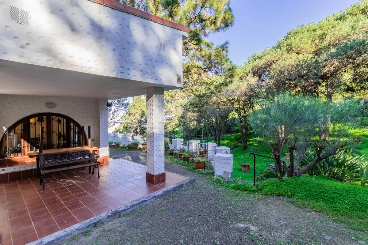Jardí de Casa o xalet en venda en Telde amb Jardí privat