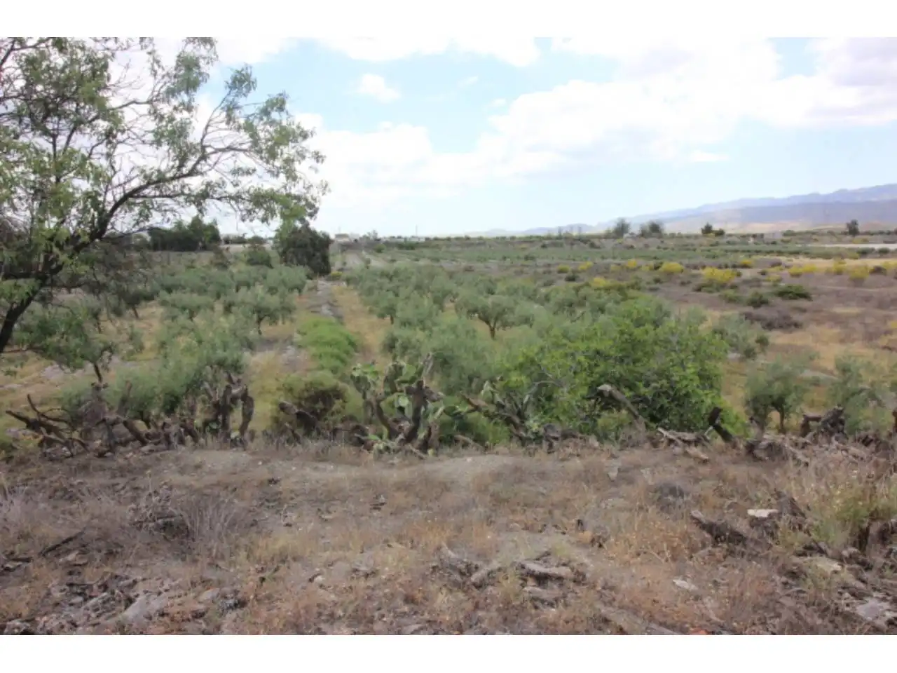 Country house for sale in Tabernas, imagen 50