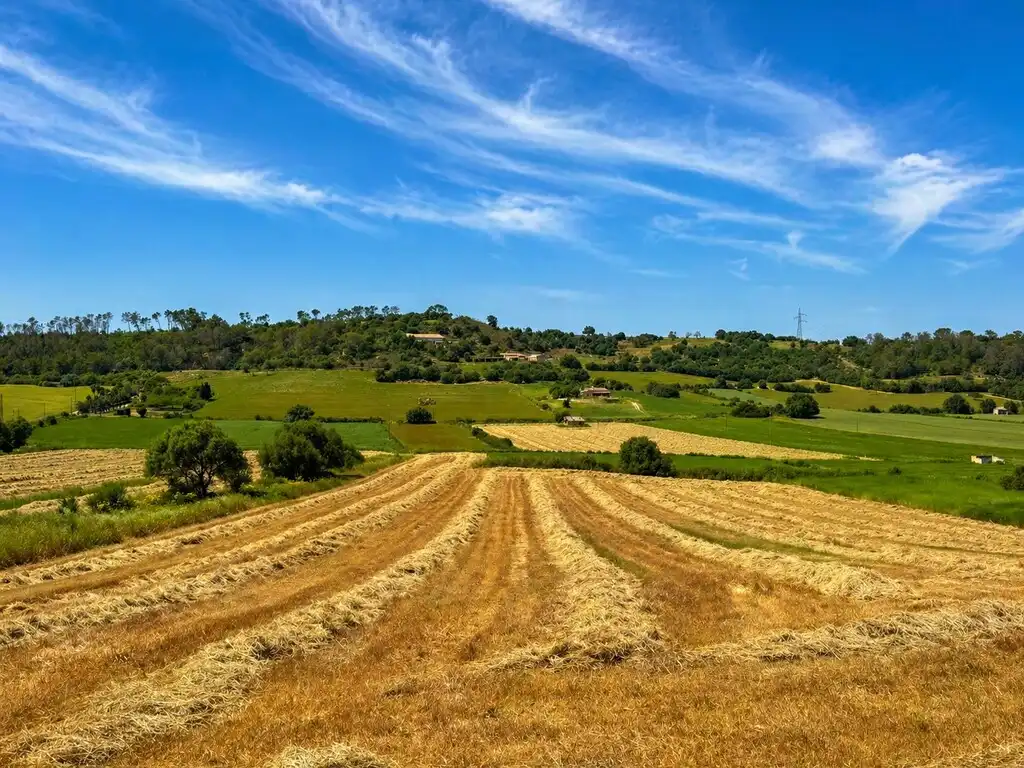 Terreny rústic en venda a Sineu