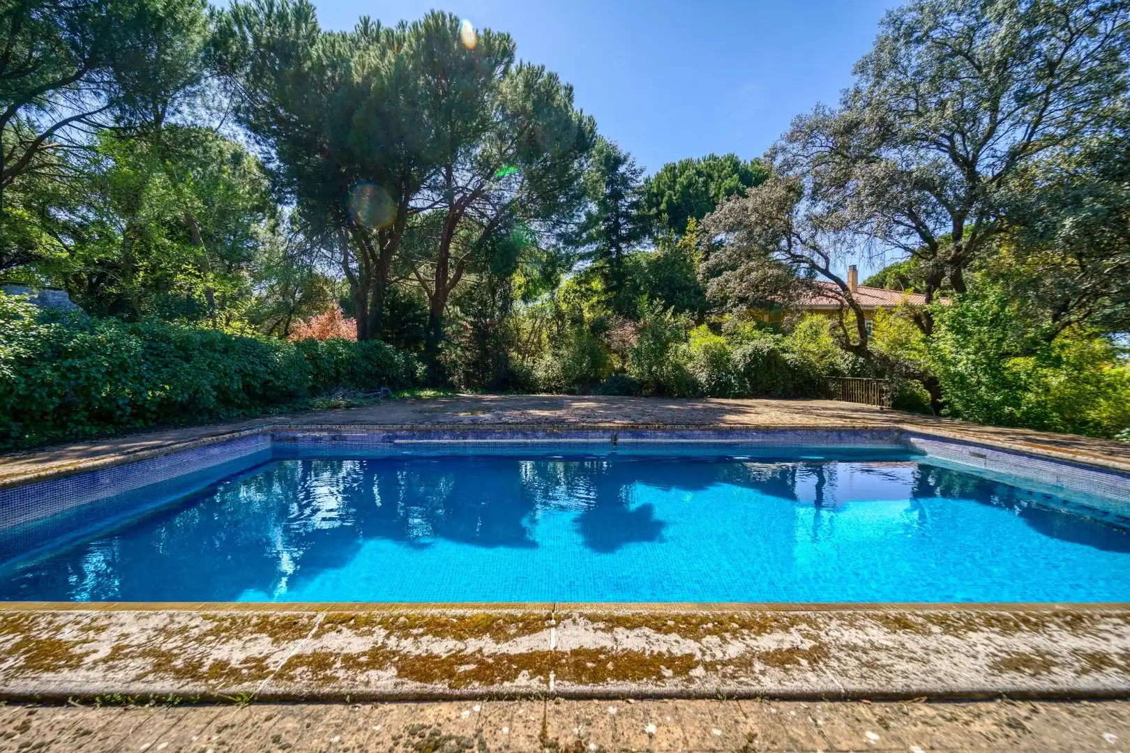 Piscina de Casa o xalet en venda en Pozuelo de Alarcón amb Calefacció, Jardí privat i Terrassa