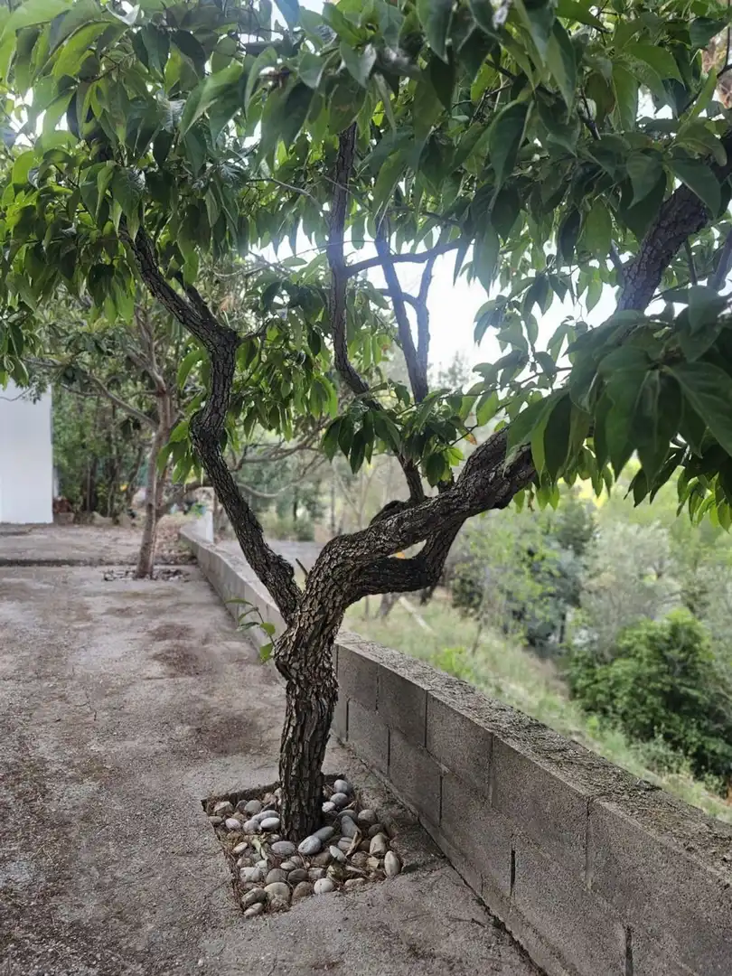 Villa avec jardin à vendre à Calle Circumval·lacio, imagen 5