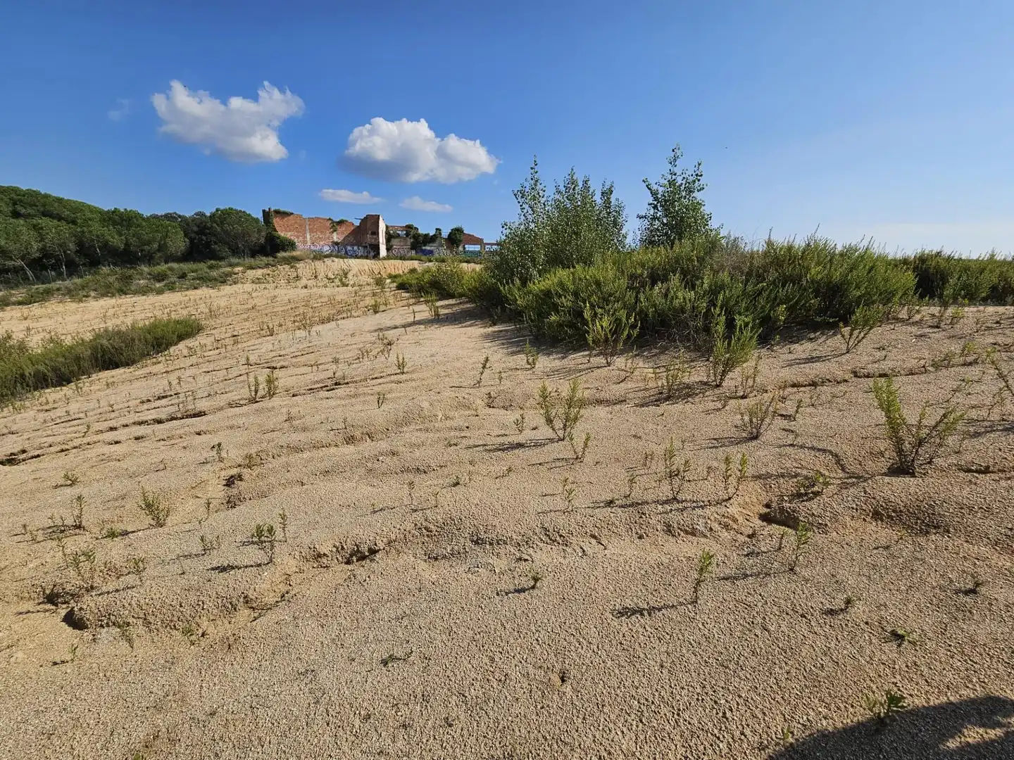 Terrenos y solares en venta en Palafolls, imagen 4