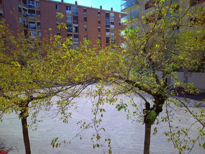 Jardín de Oficina de alquiler en  Pamplona / Iruña con Calefacción