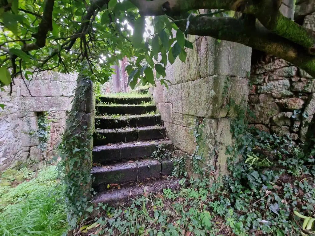 Jardín de Finca rústica en venta en Ribadavia