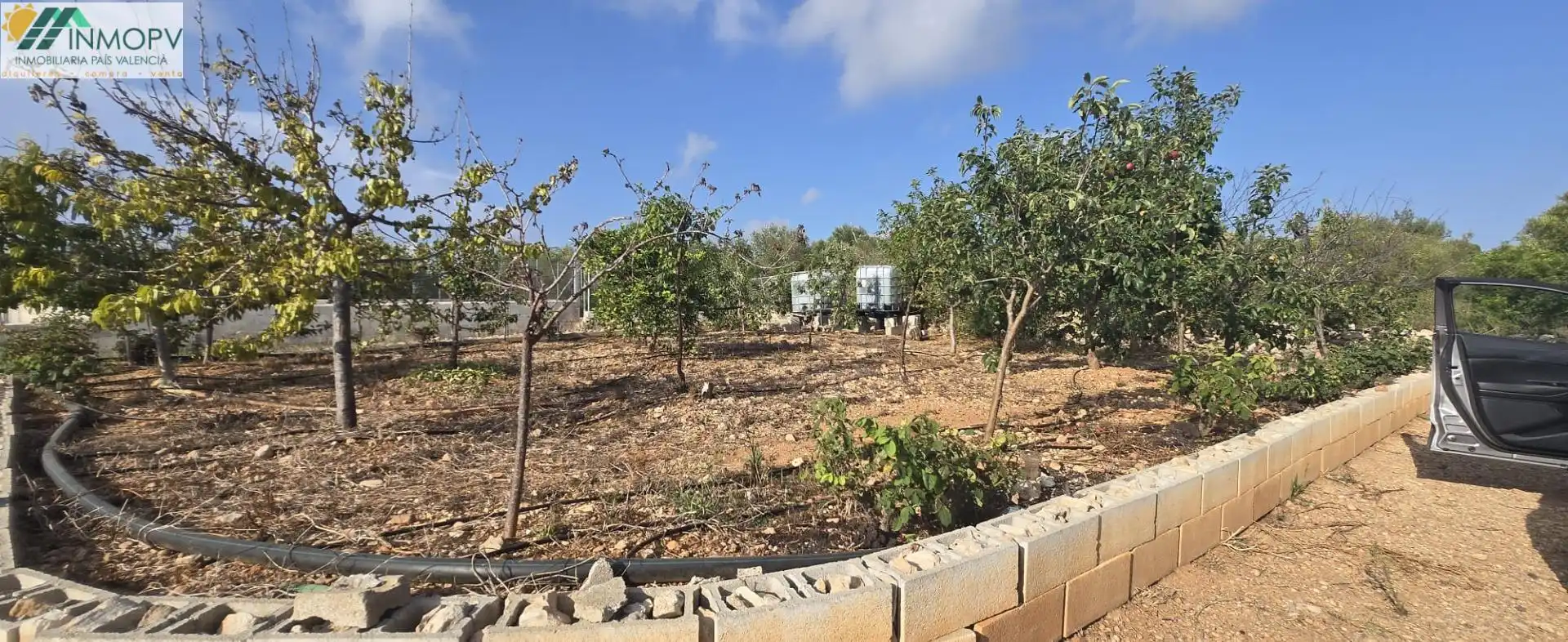 Finca rústica en venda en Vinaròs