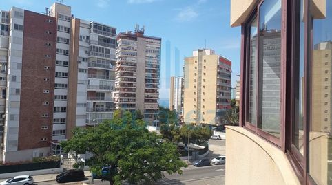 Foto 4 de Pis de lloguer a Deportista Juan Matos, Albufereta, Alicante / Alacant