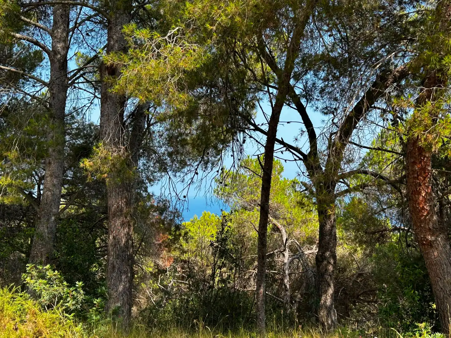 Residencial en venda en Blanes