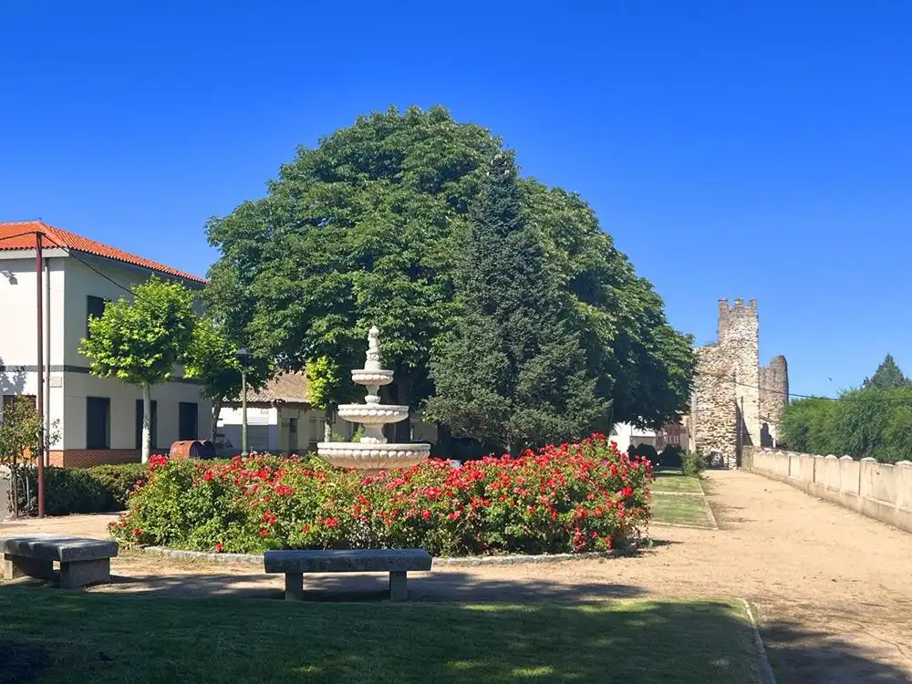 Garden of Houses for sale in Coca  with Heating