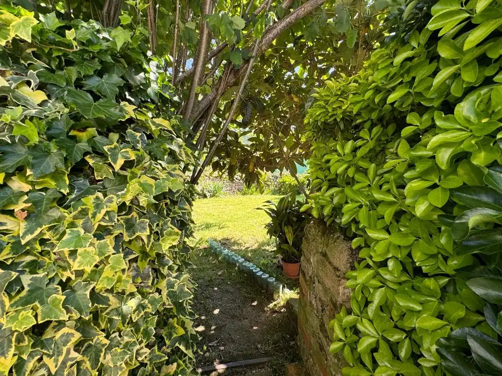 Jardín de Casa o chalet en venta en Molledo