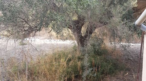 Foto 4 de Casa o xalet en venda a Monóvar / Monòver, Alicante