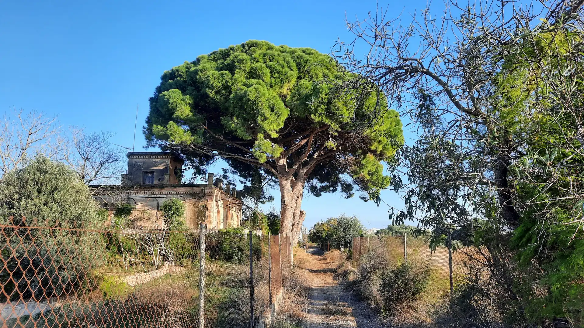 Finca rústica en venta en Plaça Poligono 29, Casco Urbano