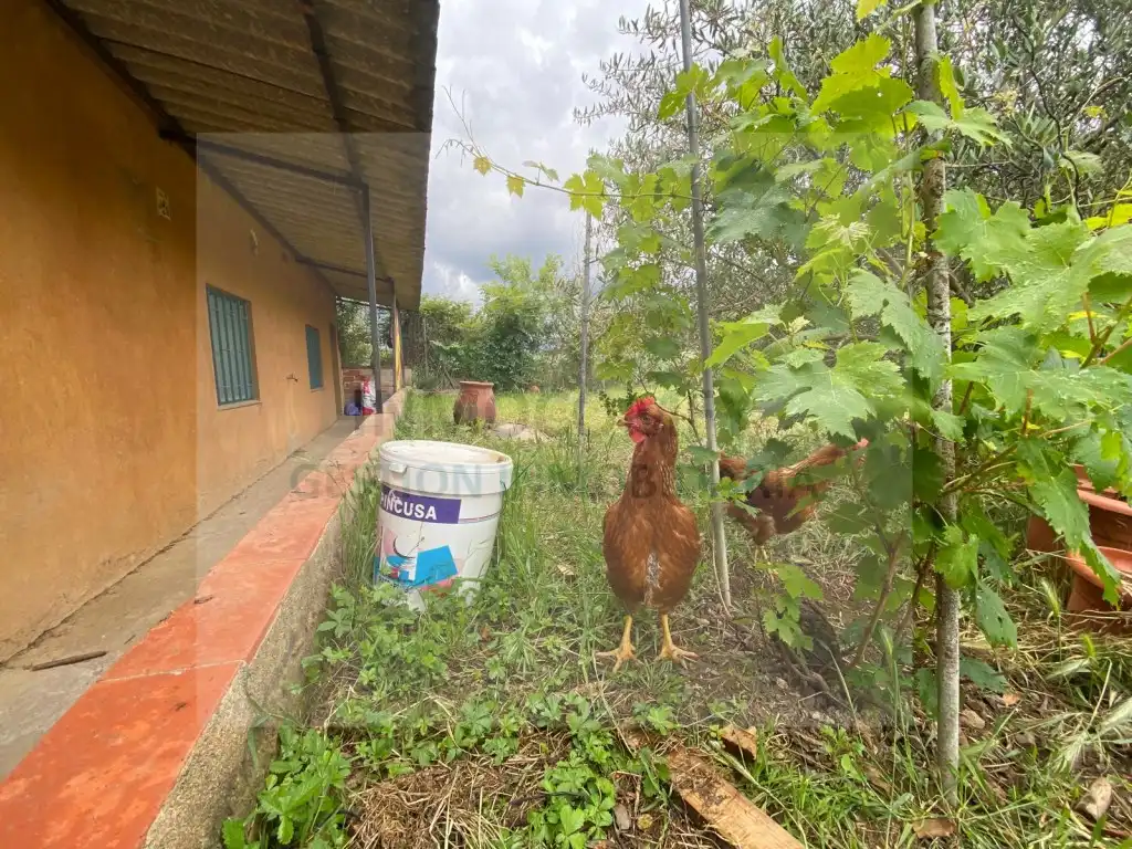 Rustikales Grundstück zum Verkauf in Carretera Ctra. A Cassà De La Selva, imagen 7