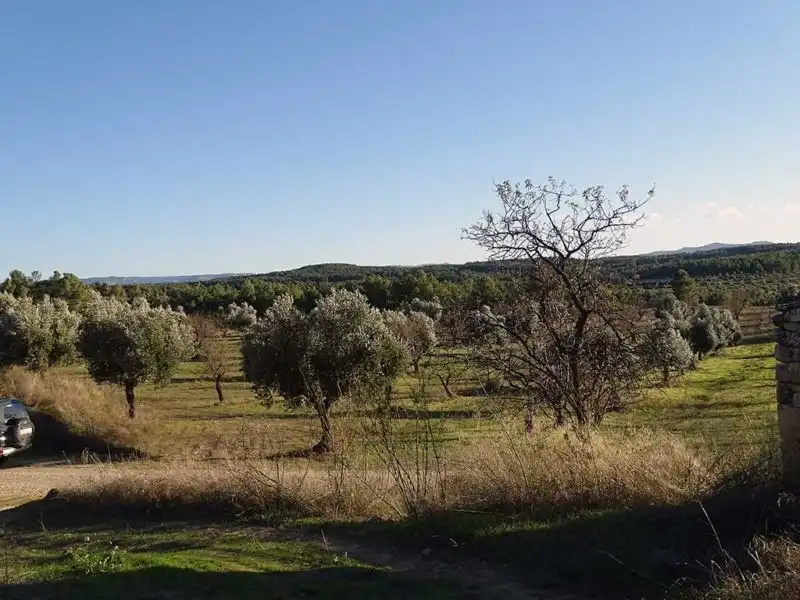 Casa rústica en venda a Torre del Compte, imagen 13