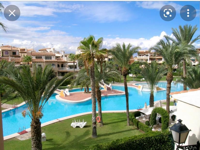 Piscina de Planta baja de alquiler en Torrevieja con Aire acondicionado, Calefacción y Terraza