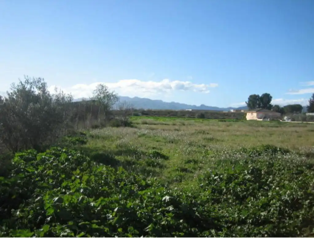 Terreno rustico in vendita a COLOMES (LES), imagen 4
