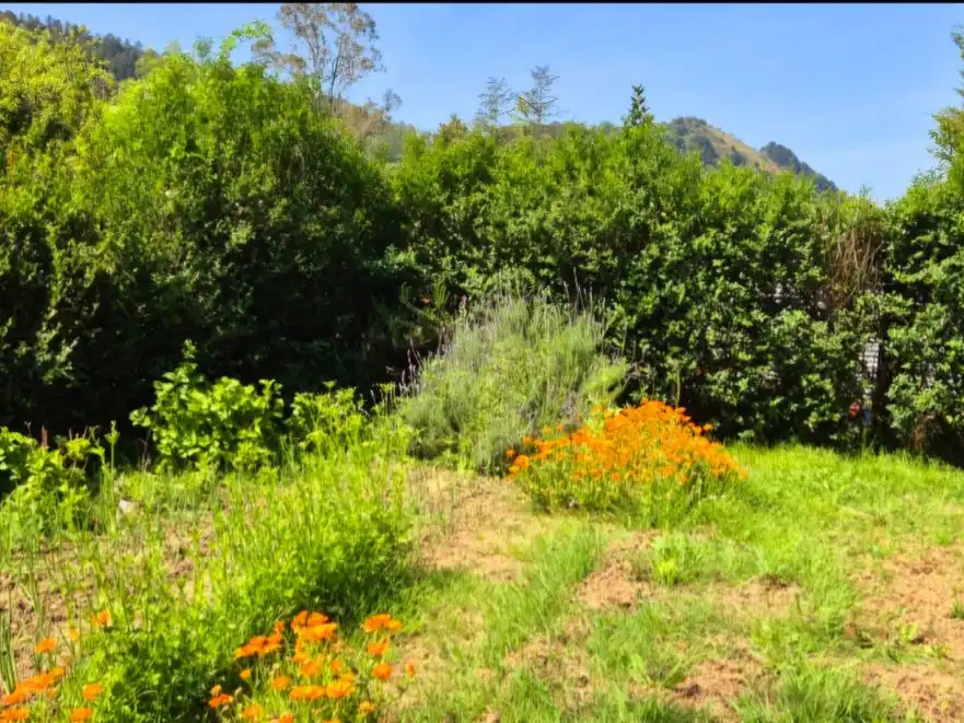 Land for sale in Zierbena
