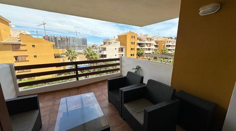 Foto 2 de Planta baixa de lloguer a Punta Prima, Alicante