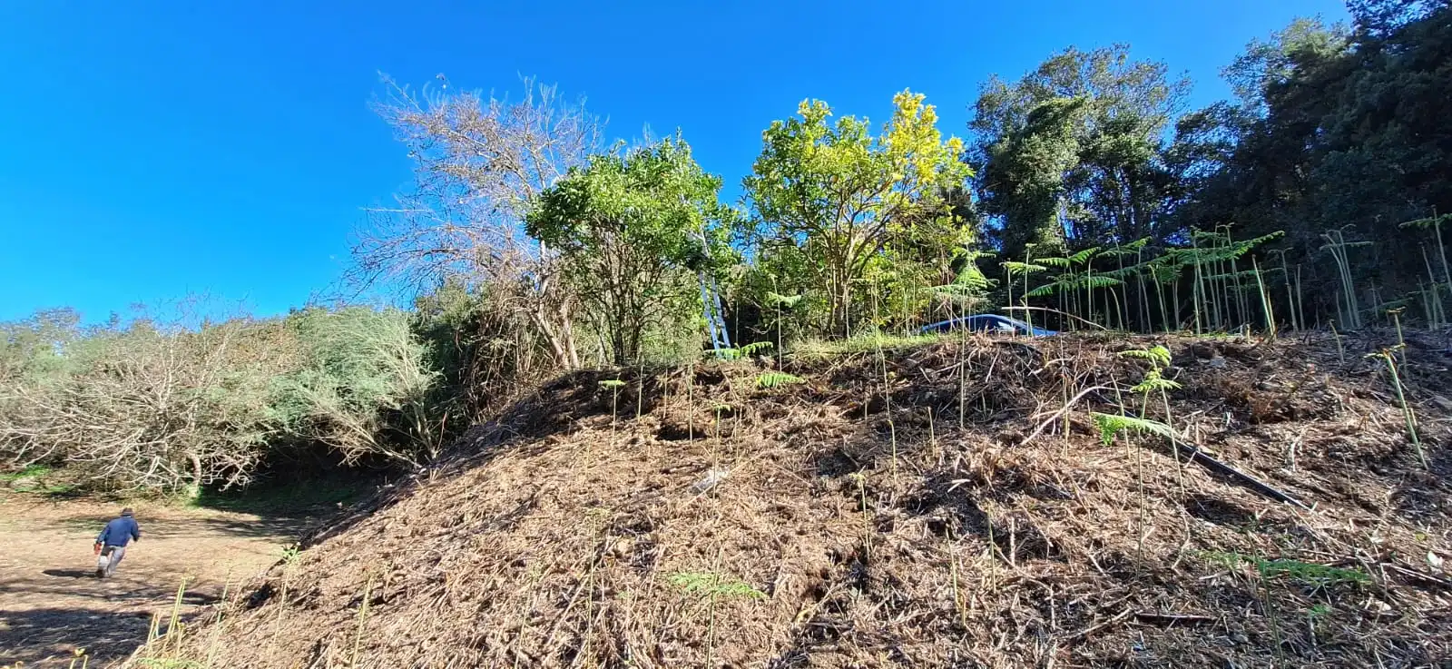 Finca rústica en venta en Los Realejos con Jardín privado y Terraza