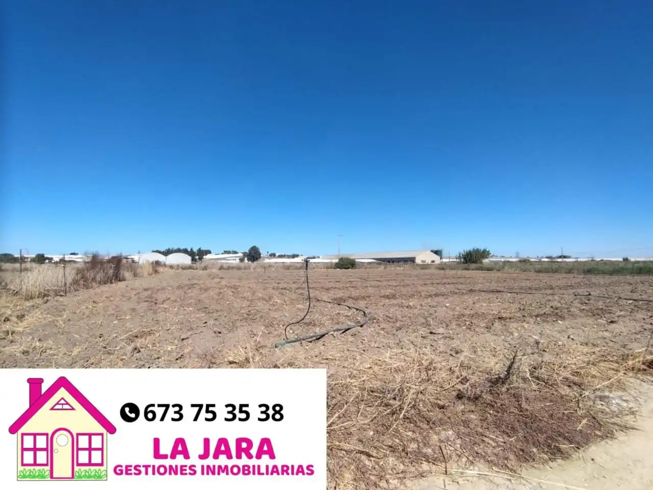 Terreni e lotti in vendita a Los Llanos
