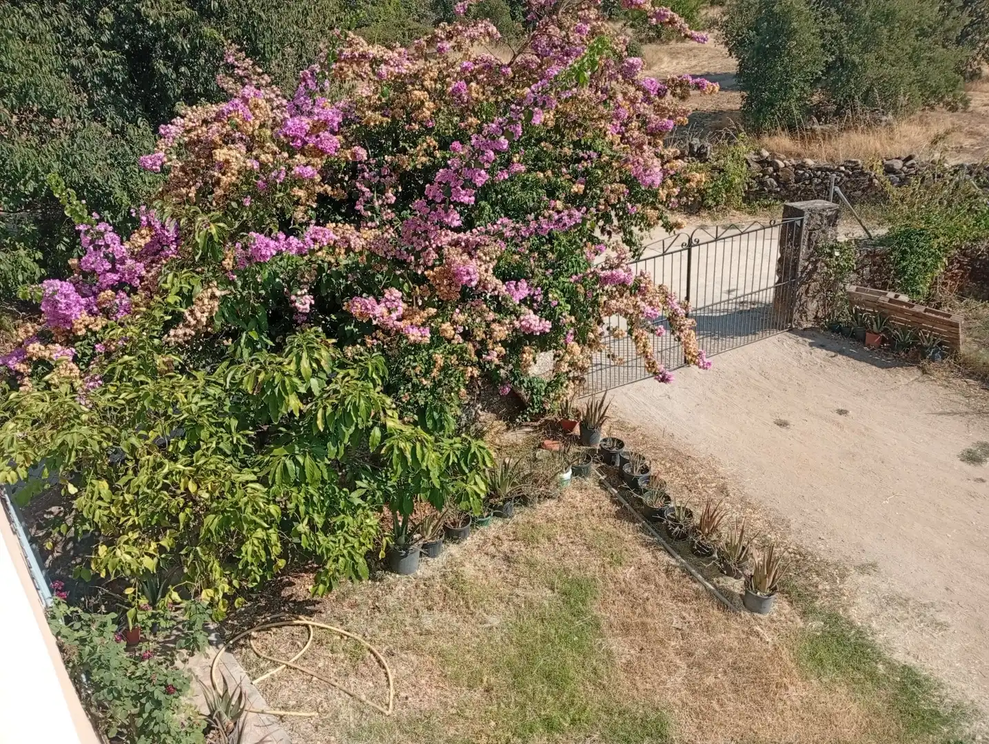 Rustikales Grundstück zum Verkauf in Villanueva de la Vera, imagen 2
