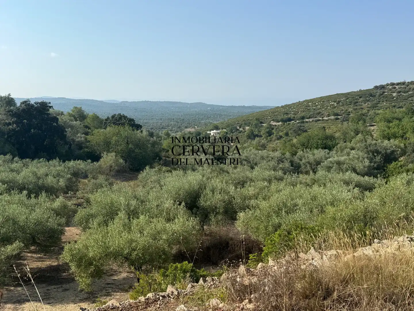 Terreno rustico in vendita a Cervera del Maestre, imagen 8