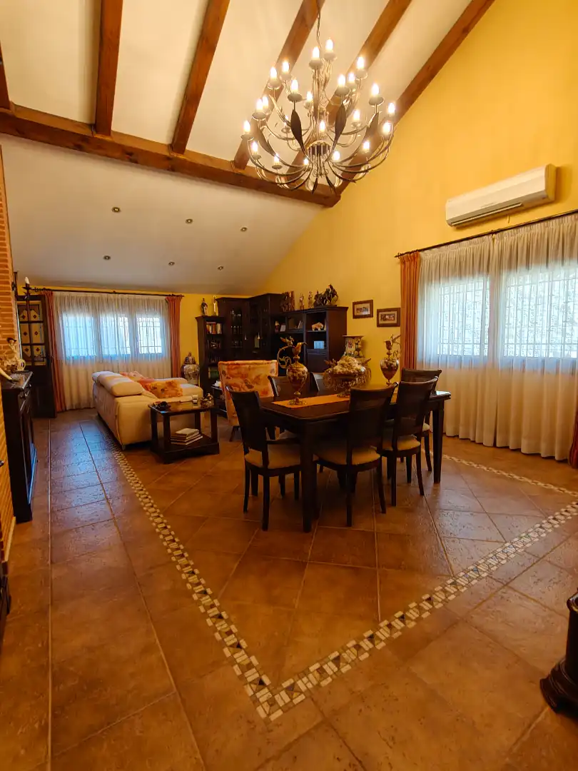 Sala d'estar de Casa o xalet en venda en Herencia amb Aire condicionat, Calefacció i Piscina