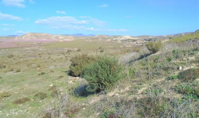 Casa o xalet en venda en Níjar amb Jardí privat, Terrassa i Moblat