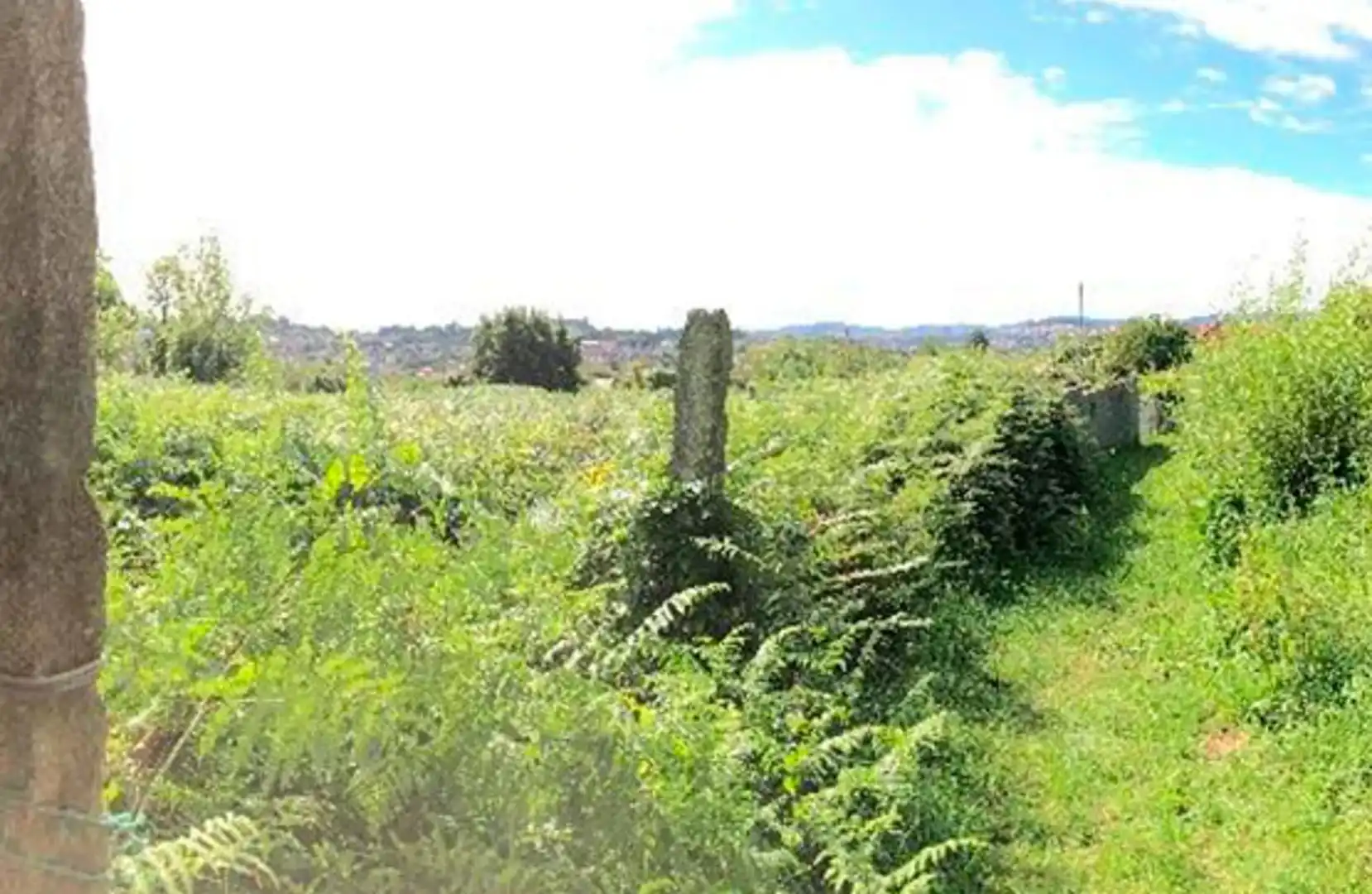 Terrain rustique à vendre à Bembrive, imagen 3