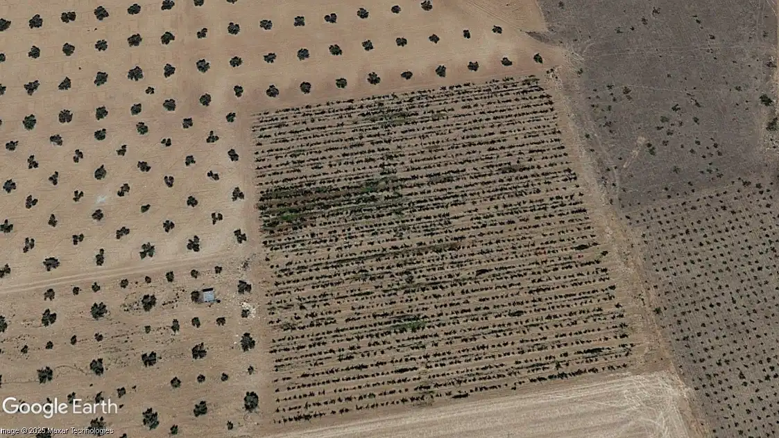 Terreno rustico in vendita a Membrilla, imagen 2