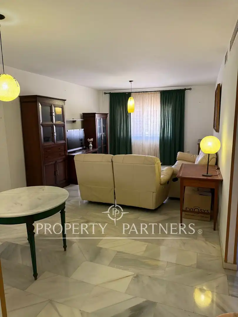 Wohnzimmer von Wohnungen zum Verkauf in Málaga