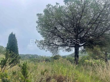 Terreno residenziale in vendita a Montalnou - Milans del Bosc
