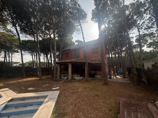 Garden of House or chalet for sale in Chiclana de la Frontera  with Private garden, Parquet flooring and Terrace