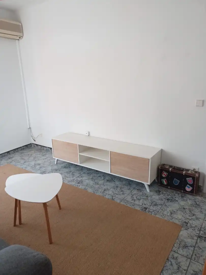 Living room of Flat for rent in Elche / Elx  with Terrace and Furnished