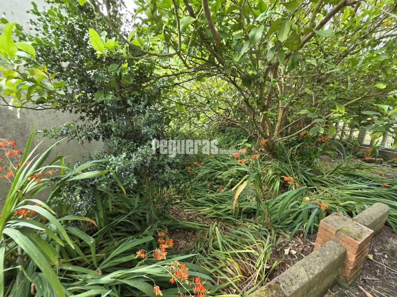 Jardín de Casa o chalet en venta en Illas con Calefacción y Jardín privado