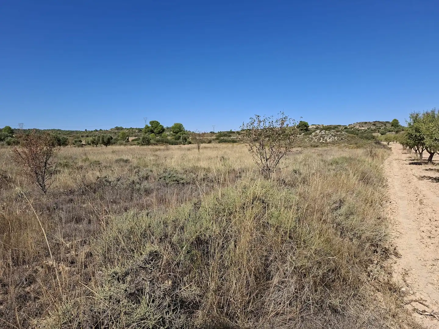 Terreno rustico in vendita a N/A, imagen 19