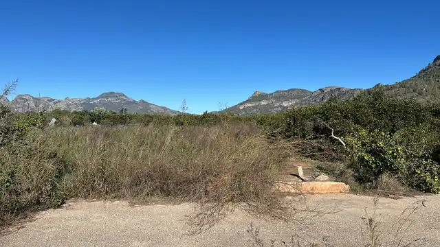 Terreny rústic en venda a Partida Cova Negra, imagen 3