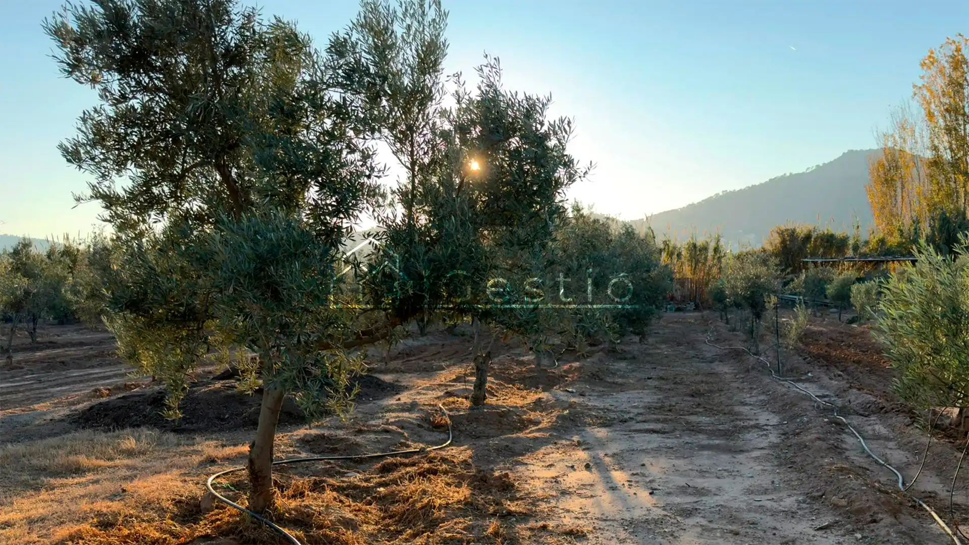 Land for sale in Sant Feliu de Llobregat