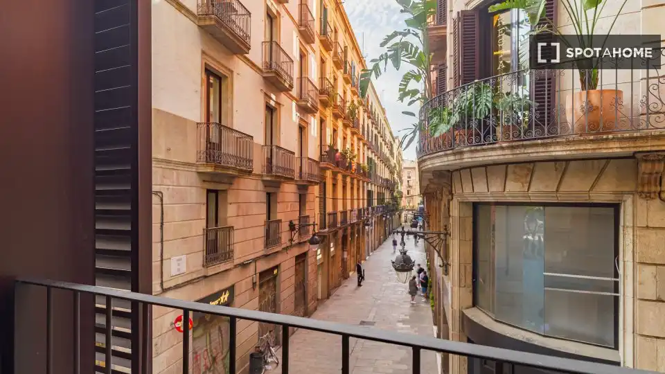 Vista exterior de Pis de lloguer en Barcelona amb Aire condicionat, Calefacció i Moblat