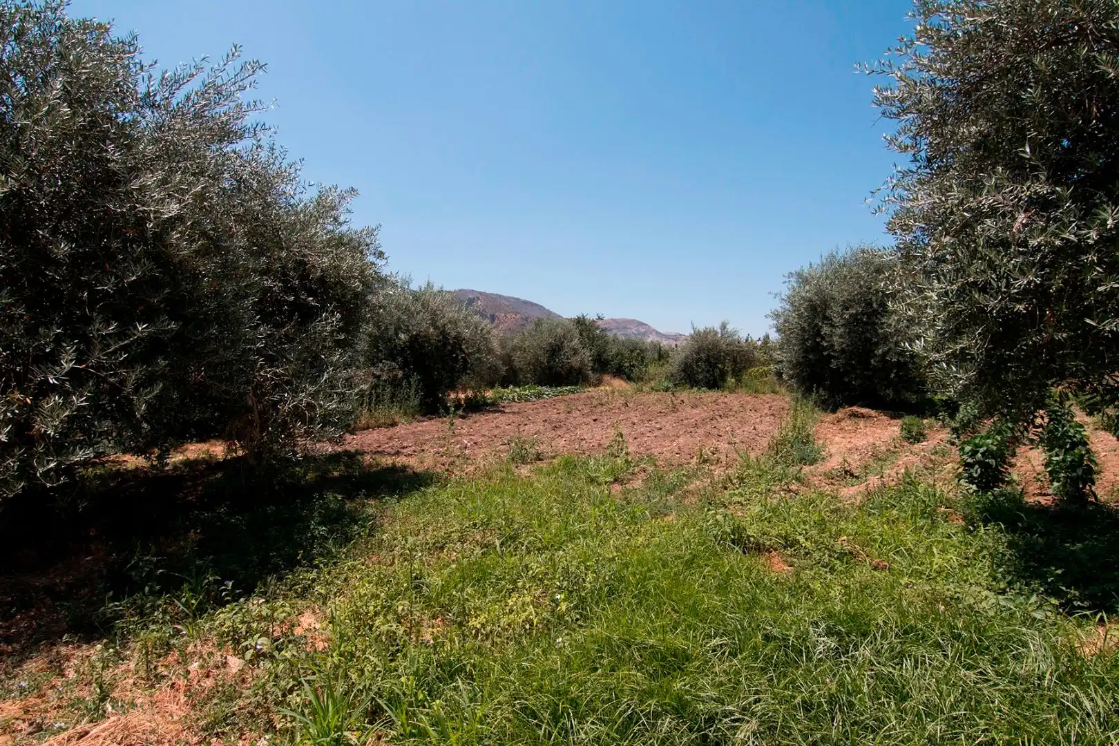 Finca rústica en venta en Güéjar Sierra con Terraza, Piscina y Balcón