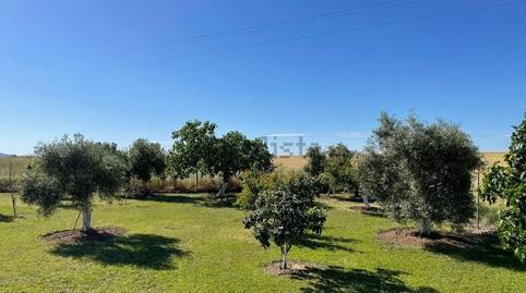 Photo 3 of House or chalet for sale in Mengabril, Badajoz