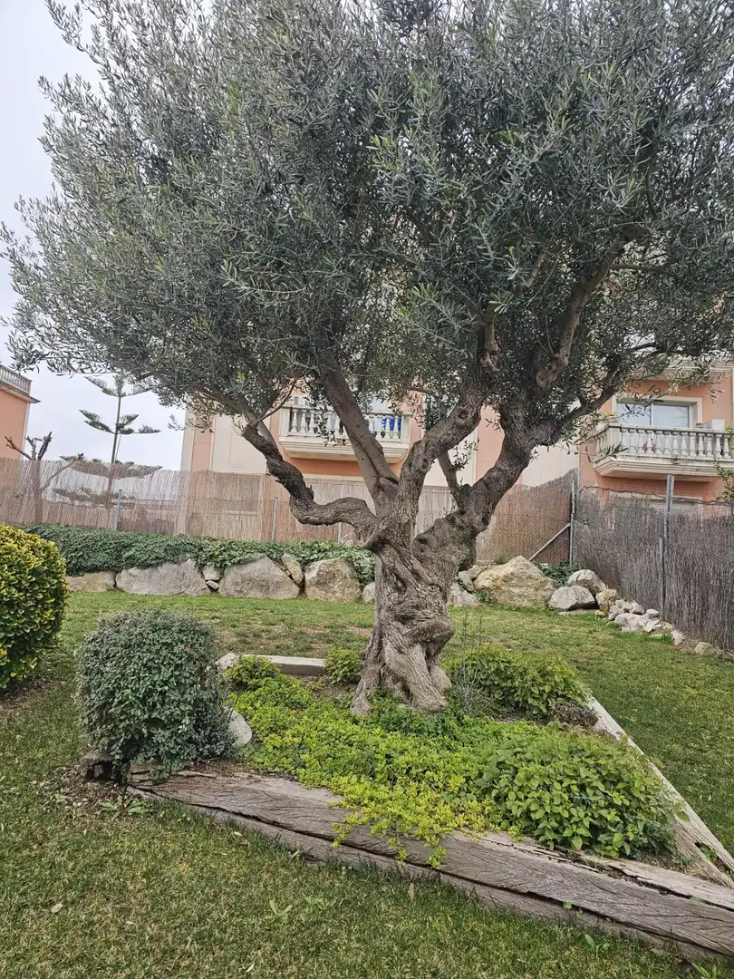 Garden of Flat for sale in Sant Sadurní d'Anoia  with Private garden, Parquet flooring and Storage room